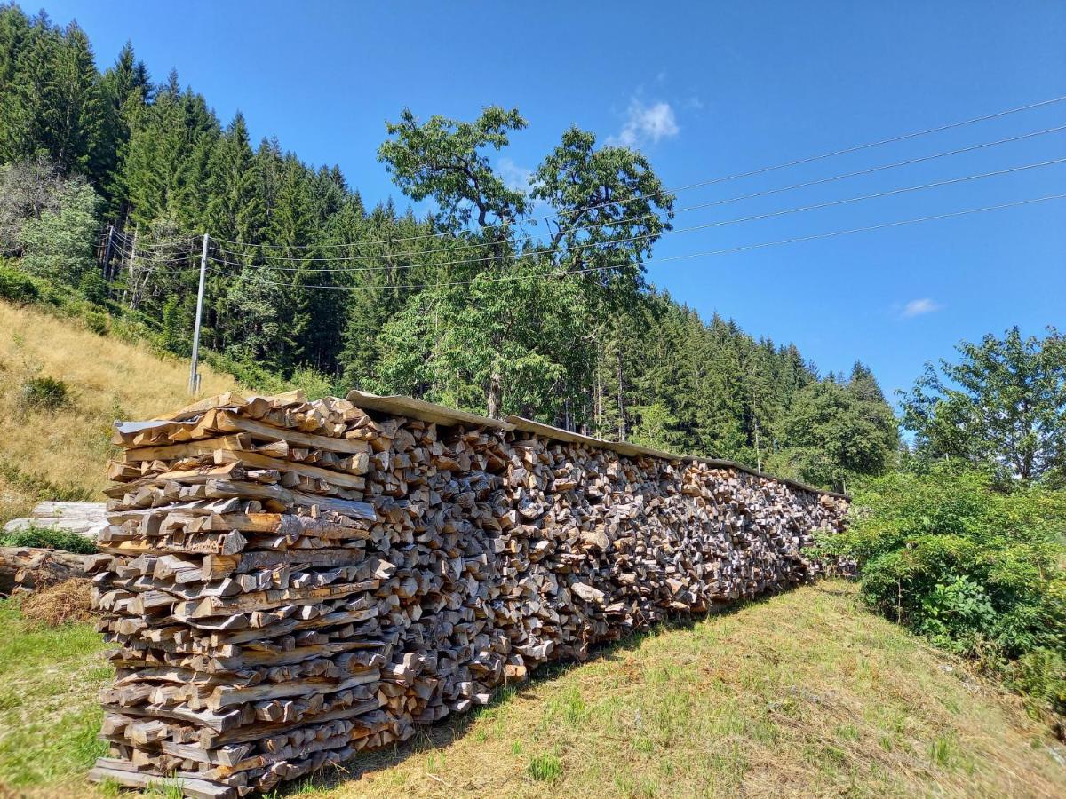 Landhaus Gruenjuwel Himmelberg Buitenkant foto
