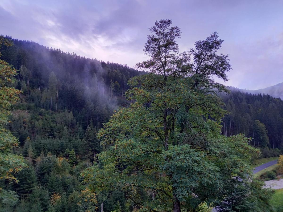 Landhaus Gruenjuwel Himmelberg Buitenkant foto