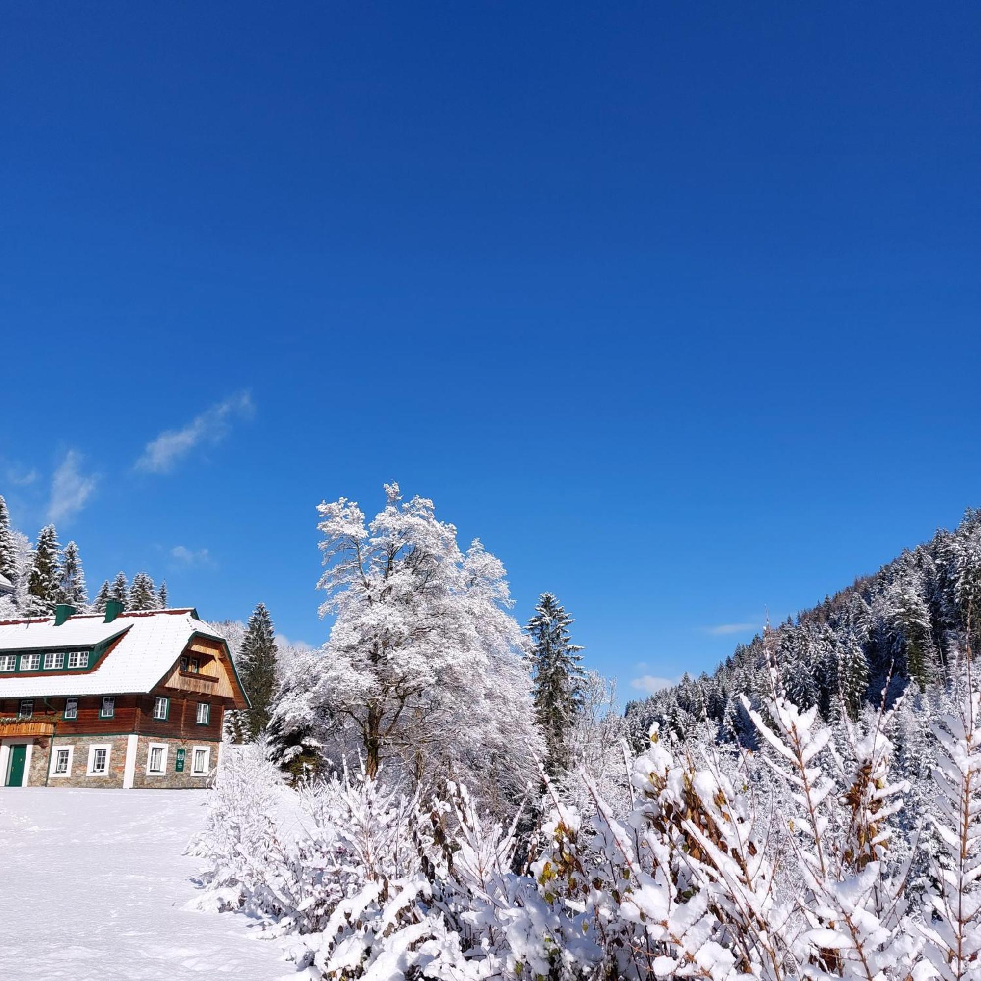 Landhaus Gruenjuwel Himmelberg Buitenkant foto
